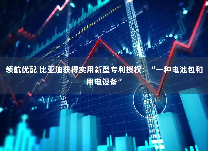 领航优配 比亚迪获得实用新型专利授权：“一种电池包和用电设备”
