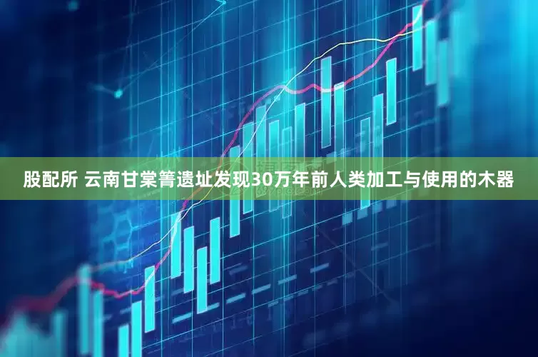 股配所 云南甘棠箐遗址发现30万年前人类加工与使用的木器
