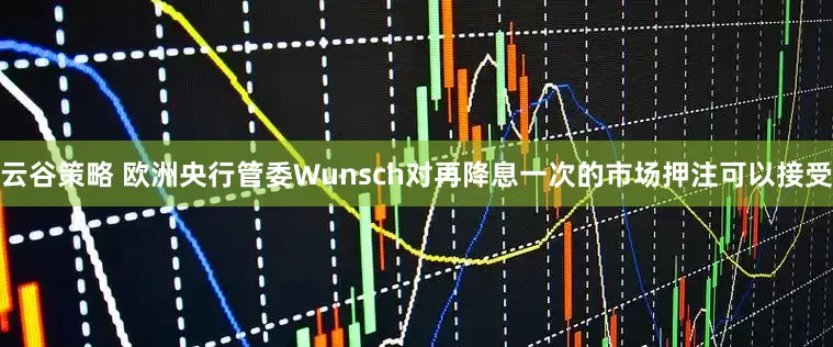 云谷策略 欧洲央行管委Wunsch对再降息一次的市场押注可以接受