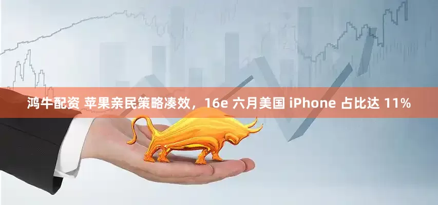 鸿牛配资 苹果亲民策略凑效，16e 六月美国 iPhone 占比达 11%