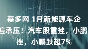 嘉多网 1月新能源车企销量普遍承压！汽车股重挫，小鹏跌超7%